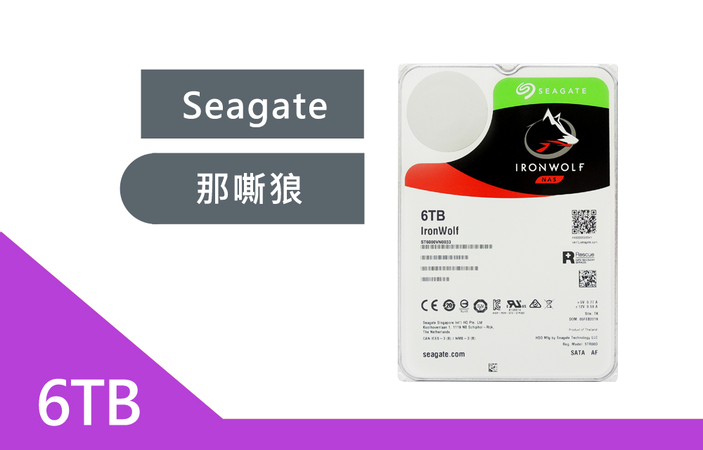 Seagate【那嘶狼IronWolf】6T